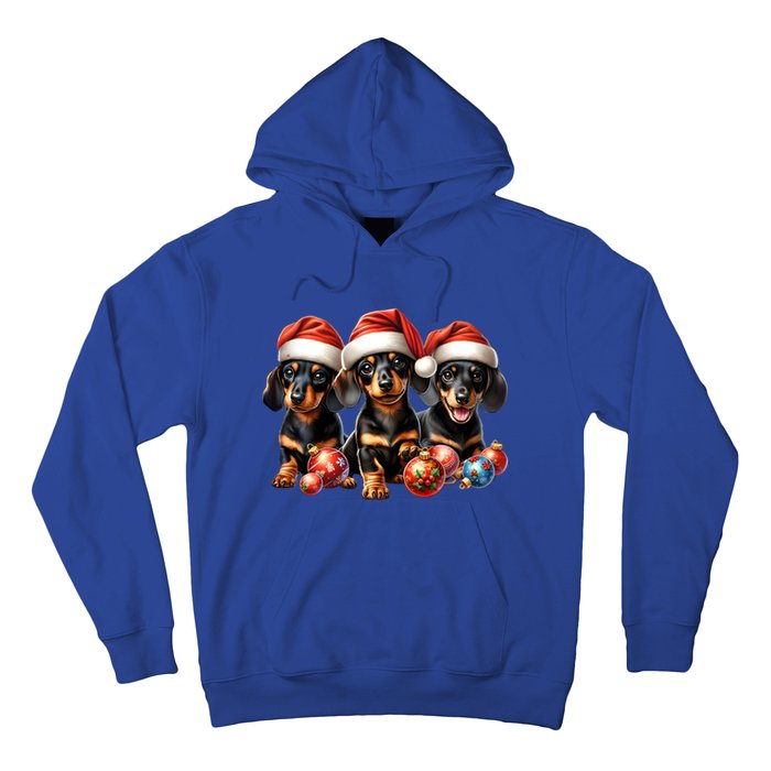 Cute Christmas Doxie Puppies In Santa Hats And Xmas Ornats Gift Hoodie