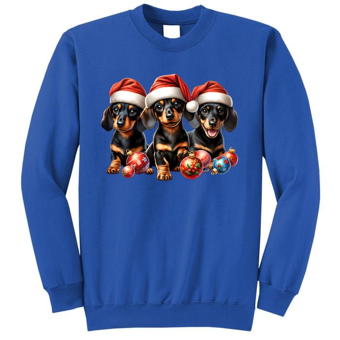 Cute Christmas Doxie Puppies In Santa Hats And Xmas Ornats Gift Sweatshirt