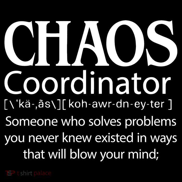 Chaos Coordinator Definition T-Shirt