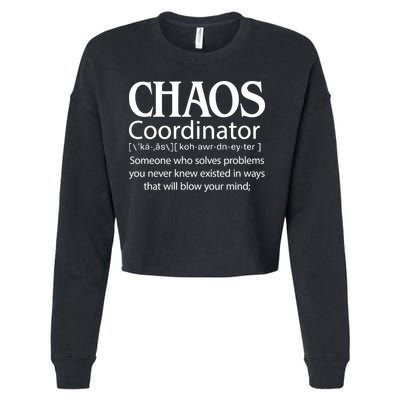 Chaos Coordinator Definition Cropped Pullover Crew