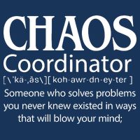 Chaos Coordinator Definition Infant Baby Jersey Bodysuit