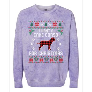 Cane Corso Dog Lover Xmas Funny Gift Dog Ugly Christmas Sweater Gift Colorblast Crewneck Sweatshirt