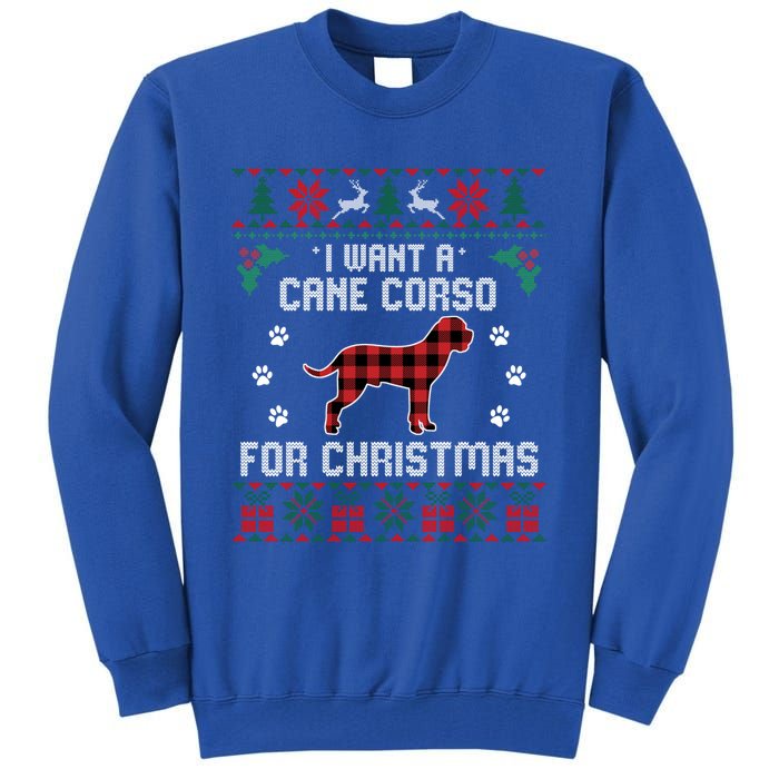 Cane Corso Dog Lover Xmas Funny Gift Dog Ugly Christmas Sweater Gift Tall Sweatshirt