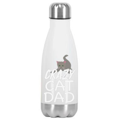 Crazy Cat Dad Funny Fathers Day Kitten Dads Tee Stainless Steel Insulated Water Bottle