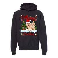 Chow Chow Dog Merry Christmas Tree Lighting Chow Chow Xmas Premium Hoodie