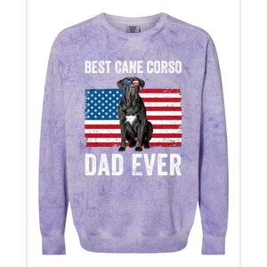 Cane Corso Dad USA American Flag Cane Corso Dog Lover Owner Colorblast Crewneck Sweatshirt