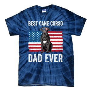 Cane Corso Dad USA American Flag Cane Corso Dog Lover Owner Tie-Dye T-Shirt