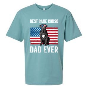 Cane Corso Dad USA American Flag Cane Corso Dog Lover Owner Sueded Cloud Jersey T-Shirt