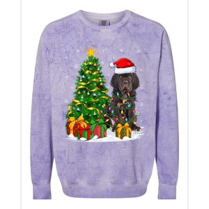 Cane Corso Dog Lover Xmas Tree Santa Cane Corso Christmas Great Gift Colorblast Crewneck Sweatshirt