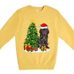 Cane Corso Dog Lover Xmas Tree Santa Cane Corso Christmas Great Gift Premium Crewneck Sweatshirt