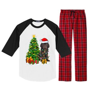 Cane Corso Dog Lover Xmas Tree Santa Cane Corso Christmas Great Gift Raglan Sleeve Pajama Set