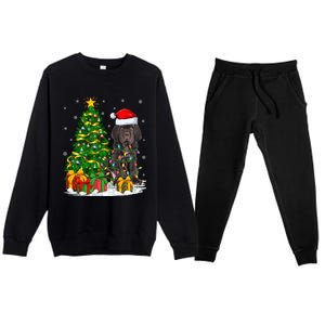 Cane Corso Dog Lover Xmas Tree Santa Cane Corso Christmas Great Gift Premium Crewneck Sweatsuit Set