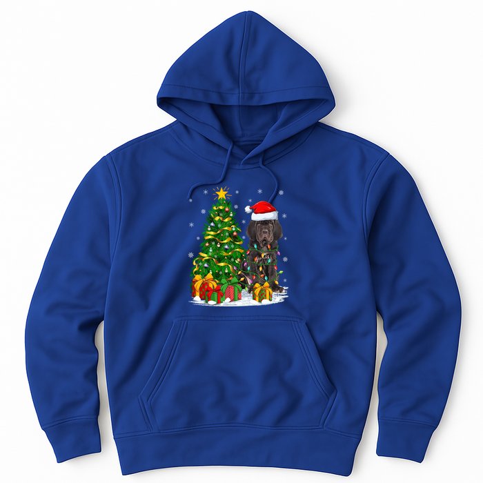 Cane Corso Dog Lover Xmas Tree Santa Cane Corso Christmas Great Gift Hoodie