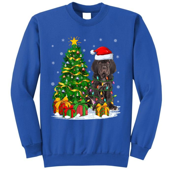 Cane Corso Dog Lover Xmas Tree Santa Cane Corso Christmas Great Gift Sweatshirt