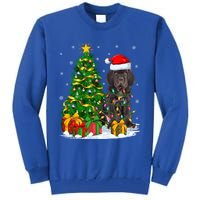 Cane Corso Dog Lover Xmas Tree Santa Cane Corso Christmas Great Gift Tall Sweatshirt