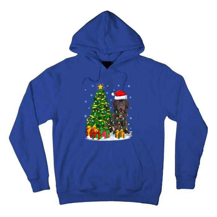 Cane Corso Dog Lover Xmas Tree Santa Cane Corso Christmas Great Gift Tall Hoodie