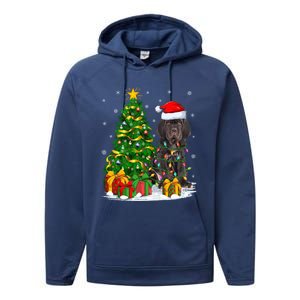 Cane Corso Dog Lover Xmas Tree Santa Cane Corso Christmas Great Gift Performance Fleece Hoodie