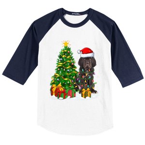 Cane Corso Dog Lover Xmas Tree Santa Cane Corso Christmas Great Gift Baseball Sleeve Shirt