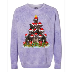 Cane Corso Dog Lover Xmas Tree Santa Christmas Cane Corso Gift Colorblast Crewneck Sweatshirt