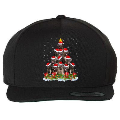 Cane Corso Dog Lover Xmas Tree Santa Christmas Cane Corso Gift Wool Snapback Cap