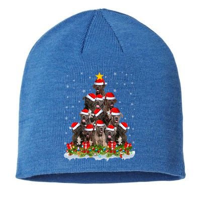 Cane Corso Dog Lover Xmas Tree Santa Christmas Cane Corso Gift Sustainable Beanie