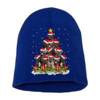 Cane Corso Dog Lover Xmas Tree Santa Christmas Cane Corso Gift Short Acrylic Beanie