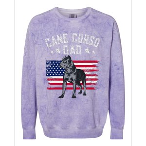 Cane Corso Dad American Flag Best Italian Mastiff Dog Lover Colorblast Crewneck Sweatshirt