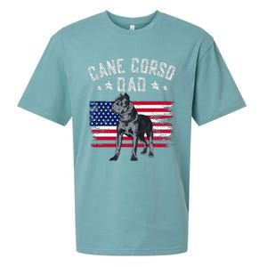 Cane Corso Dad American Flag Best Italian Mastiff Dog Lover Sueded Cloud Jersey T-Shirt