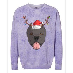 Cane Corso Dog Santa Claus Christmas Xcool Giftmas Canine Gift Colorblast Crewneck Sweatshirt