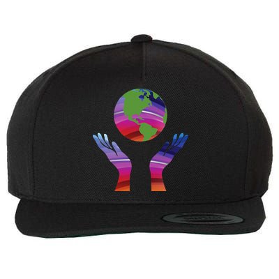 Climate Change Earth Day Global Warming Wool Snapback Cap