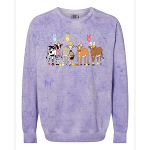 Cute Cow Easter Day Farm Animals Colorblast Crewneck Sweatshirt