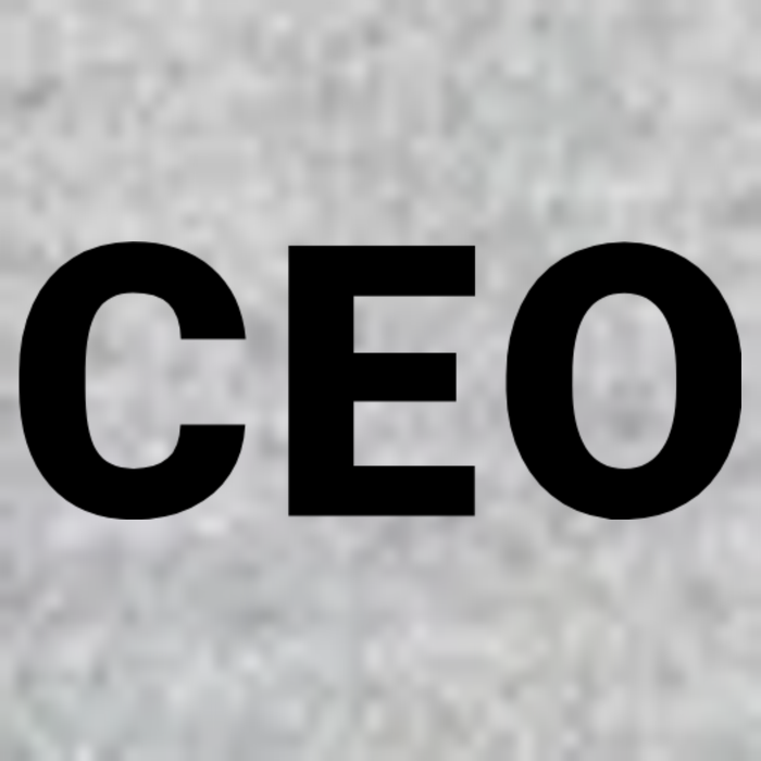Ceo Chief Executive Officer Highest Ranking Executive Management Of Organization V-Neck T-Shirt