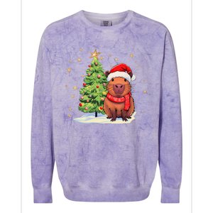 Capybara Christmas Funny Capybara Xmas Holiday Girl Colorblast Crewneck Sweatshirt