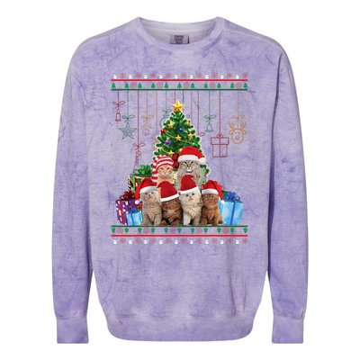 Cat Christmas Funny Ugly Merry Gift Colorblast Crewneck Sweatshirt