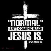 Christian Cross Faith Quote Normal Isn't Coming Back 16 in Basic Backpack
