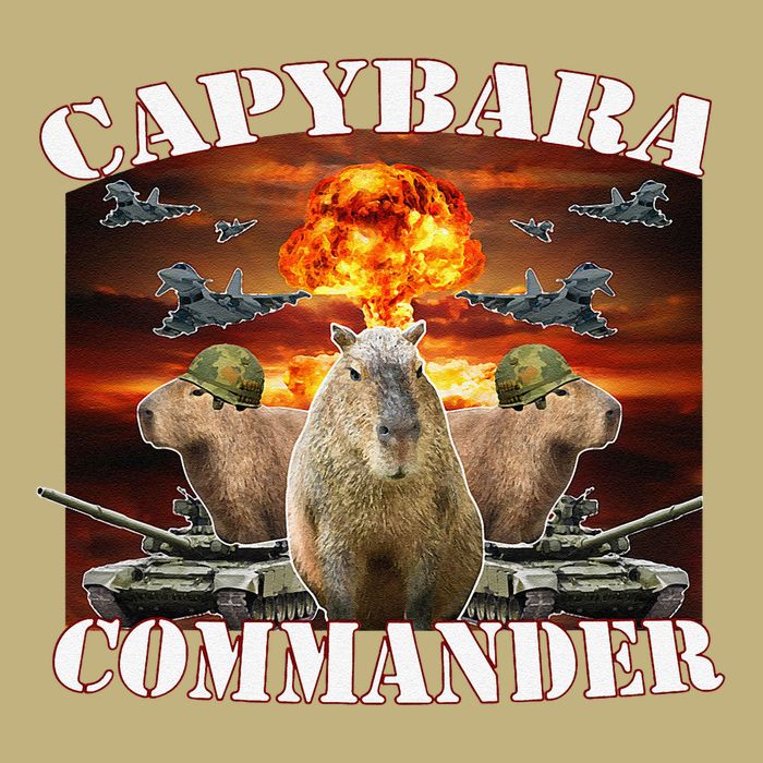 Capybara Commander Funny Capybara Warrior T-Shirt
