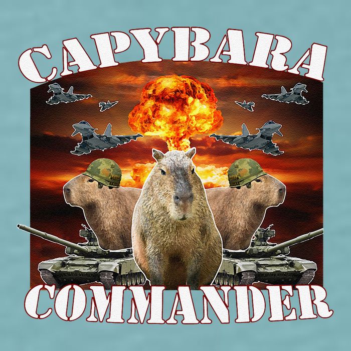 Capybara Commander Funny Capybara Warrior Sueded Cloud Jersey T-Shirt