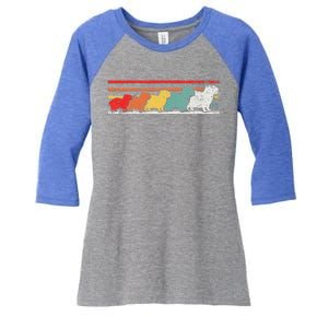 Capybara Capybaras Funny Animal Lover Women's Tri-Blend 3/4-Sleeve Raglan Shirt