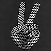 Cool Checkered For  Wo Checker Pattern Checkerboard Trucker Hat