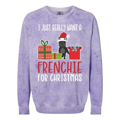 Cute Christmas French Bulldog Owner I Want A Frenchie Gift Colorblast Crewneck Sweatshirt