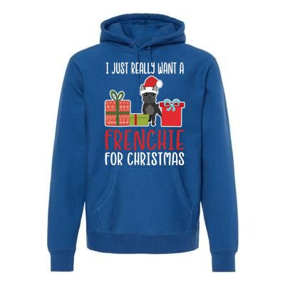 Cute Christmas French Bulldog Owner I Want A Frenchie Gift Premium Hoodie