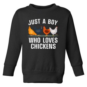 Cute Chicken Farming Chicken Lover Toddler Sweatshirt