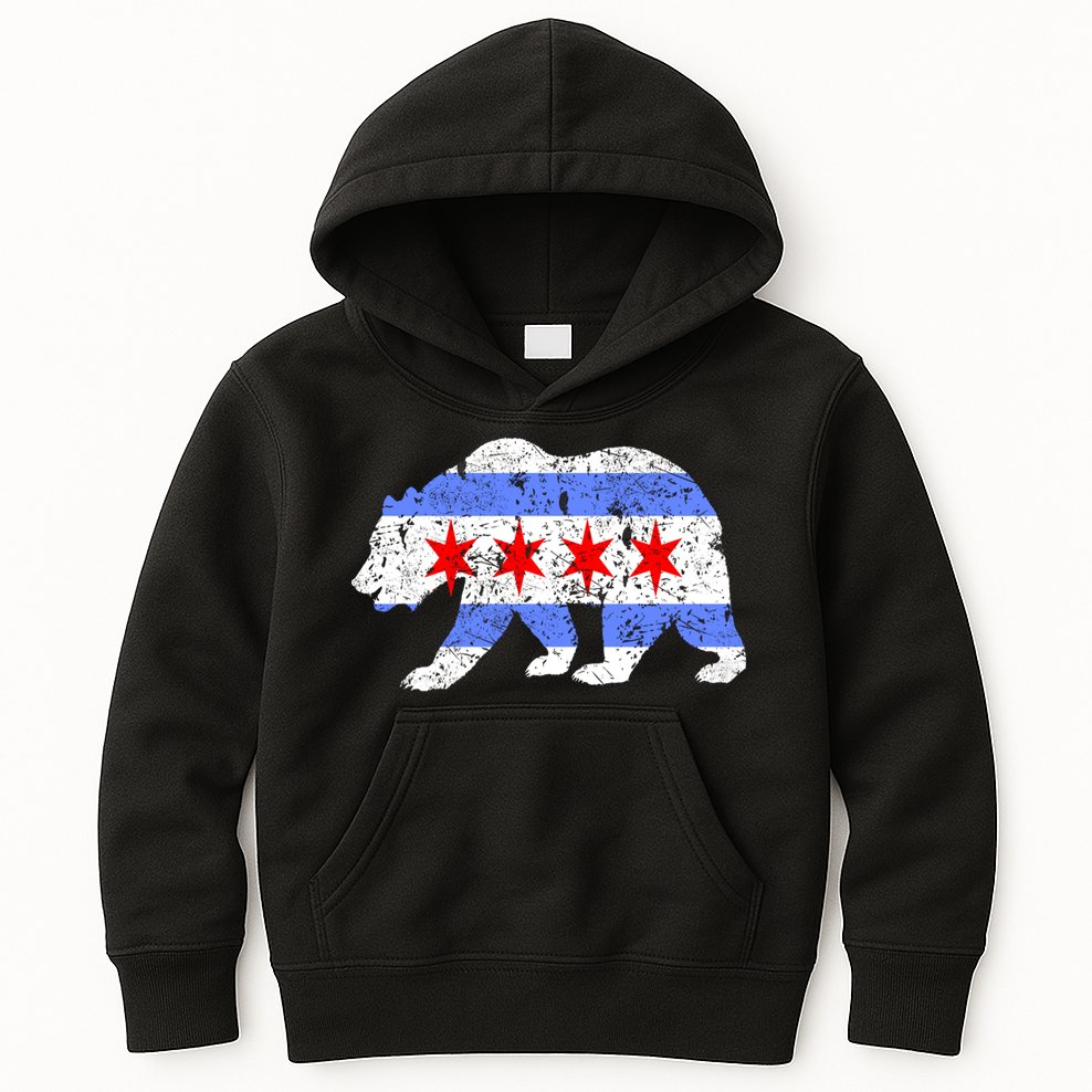 Chicago City Flag Distressed Bear Gift Kids Hoodie