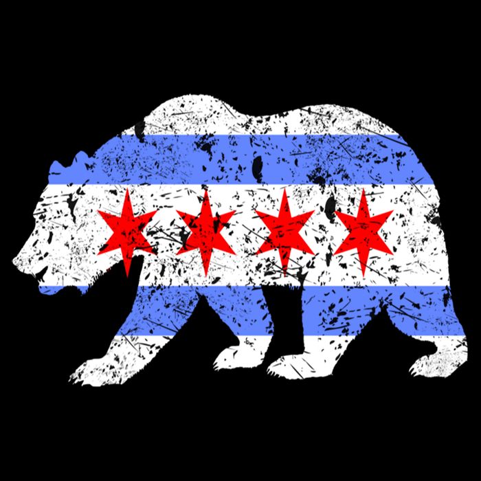 Chicago City Flag Distressed Bear Gift Zip Tote Bag