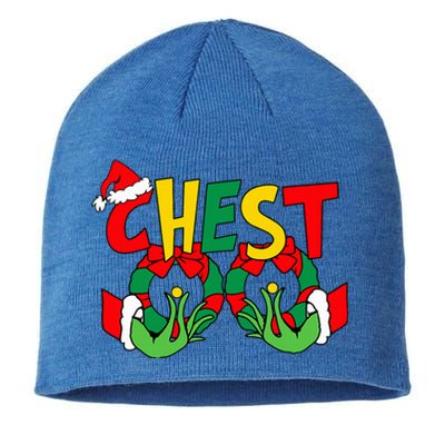 Chestnuts Christmas Family Matching Couples Chest Nuts Xmas Sustainable Beanie