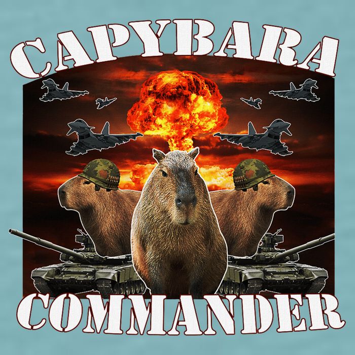 Capybara Commander Funny Capybara Warrior Sueded Cloud Jersey T-Shirt