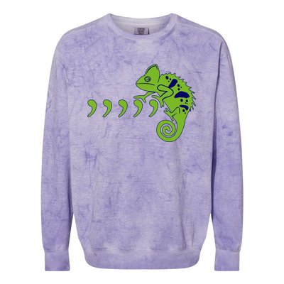 COMMA CHAMELEON FUNNY SONG PARODY MEME Colorblast Crewneck Sweatshirt