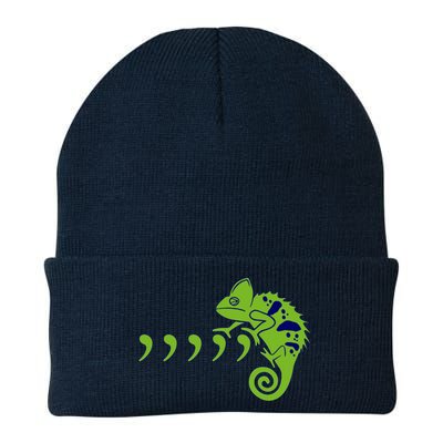 COMMA CHAMELEON FUNNY SONG PARODY MEME Knit Cap Winter Beanie