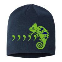 COMMA CHAMELEON FUNNY SONG PARODY MEME Sustainable Beanie