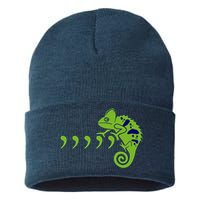 COMMA CHAMELEON FUNNY SONG PARODY MEME Sustainable Knit Beanie